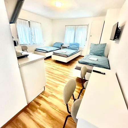 Hirsch * Berg bei Ravensburg